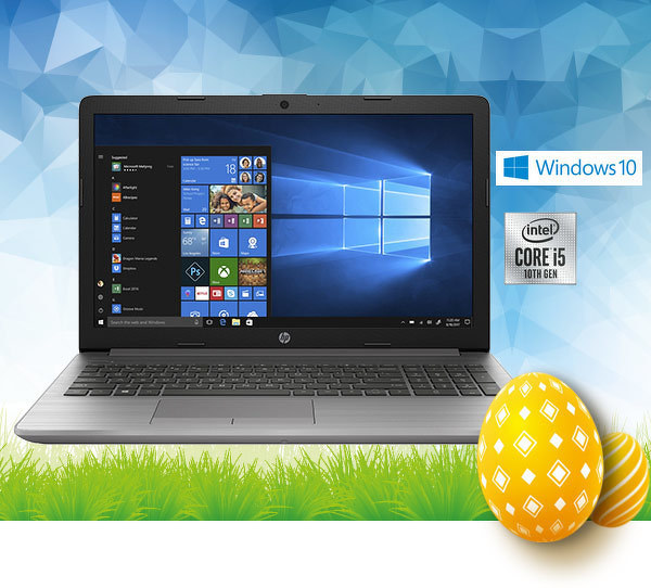 HP 250 G7 (1L3R7EA) 39,6 cm (15,6